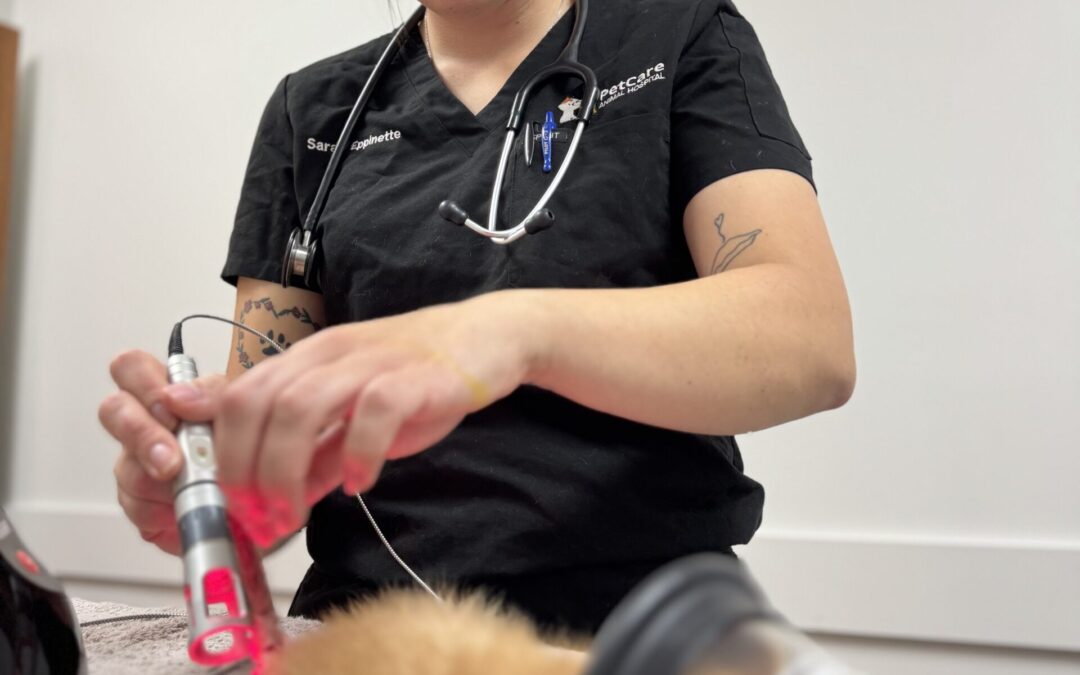 K Laser Therapy