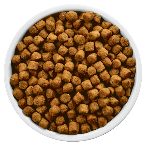 Wd dry outlet dog food